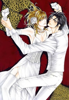 Imagen de Leopard Hakusho