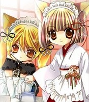 Imagen de Kon Kon KoKon