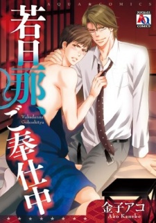 Imagen de Wakadanna, Gohoushichuu