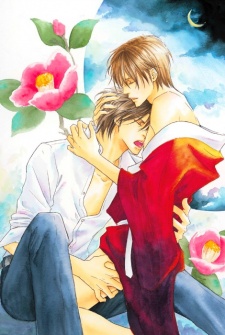 Imagen de Shizuku Hanabira Ringo no Kaori