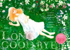 Imagen de Long Goodbye