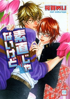 Poster de Sunao ja Nai kedo