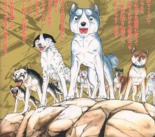 Imagen de Ginga Densetsu Weed