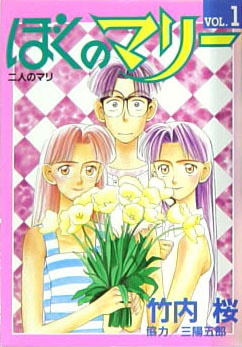 Cover for Boku no Marie