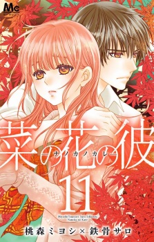 Imagen de Nanoka no Kare