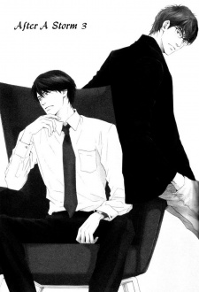 Imagen de Arashi no Ato