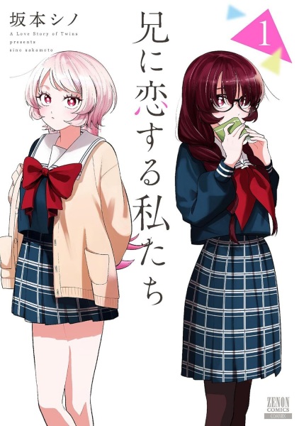 A Love Story of Twins cover