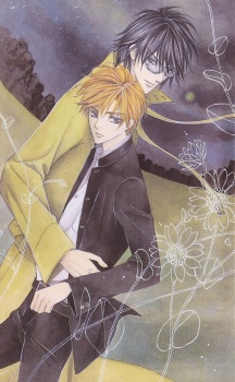 Imagen de Silver Diamond