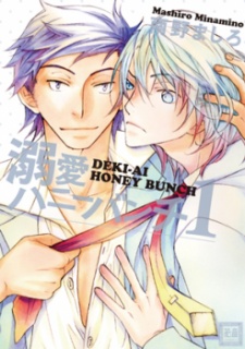 Imagen de Dekiai Honey Bunch