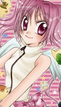 Imagen de ALMIGHTY X 10