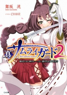 Imagen de Shin Samurai Guard