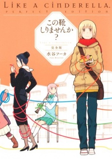 Imagen de Kono Kutsu Shirimasen ka?