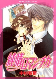 Capa de Junjou Romantica
