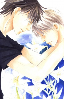 Imagen de Kimi ni Yorinishi