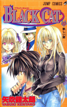 Imagen de Black Cat