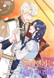 I Wasn't the Cinderella