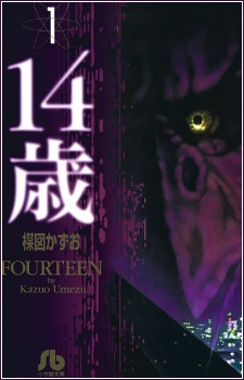 Cover for Fourteen