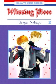 Imagen de Missing Piece