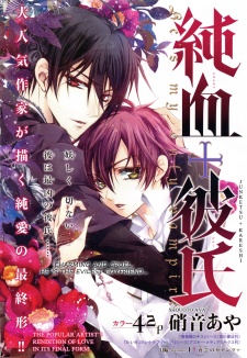 Imagen de Junketsu + Kareshi