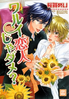 Poster de Warui Koibito ja Dame?