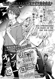 Imagen de Only Your Hero!!