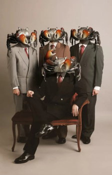 Crab KANI Club Image