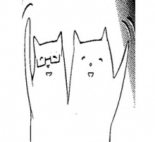 Tanigawa, Nico Image