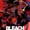 'Bleach: Sennen Kessen-hen - Kashin-tan' Announces Additional Cast Pair image 13