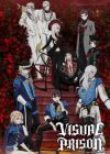 Visual Prison