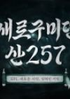Saero Gumidyeon: San 257