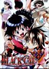 Black Cat: Toozakaru Neko