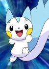 Pachirisu