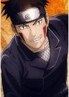 Inuzuka, Kiba