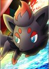 Zorua