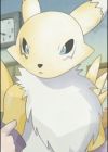 Renamon