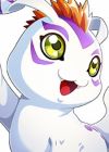 Gomamon