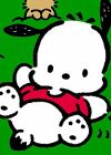 Pochacco