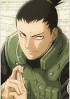 Nara, Shikamaru