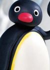 Pingu