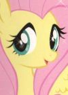 Fluttershy