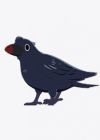 Crow