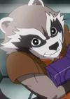 Raccoon, Rocket