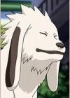Akamaru