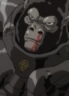 Armored Gorilla