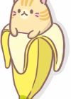 Tora Bananya