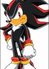 Shadow the Hedgehog