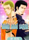Hide and Seek