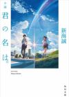 Shousetsu Kimi no Na wa.
