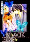 Black Bird
