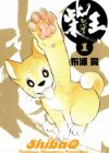 ShibaO